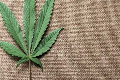 The Growing Importance of Cannabis Advocacy in Pasco, Washington