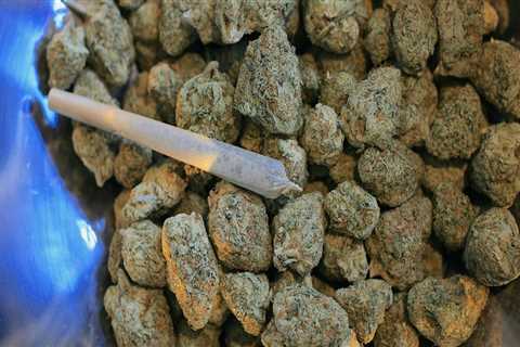 Exploring Medical Marijuana in Palm Beach Rehab