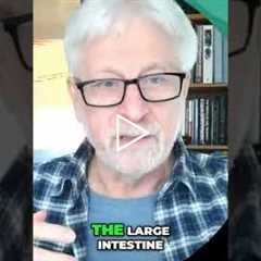 Gut Inflammation: Where It Hurts? #shorts