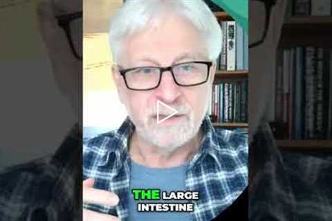 Gut Inflammation: Where It Hurts? #shorts