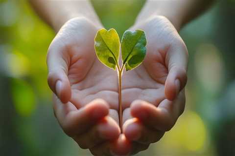 Embracing Self-Compassion: A Path to Mental Wellness and Managing Anxiety