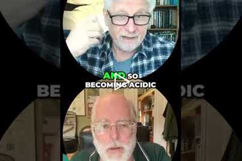 Rest and Repair vs. Fight and Flight #shorts