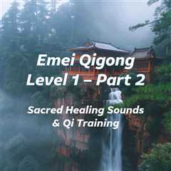 Emei Qigong Level 1 Seminar – Part 2