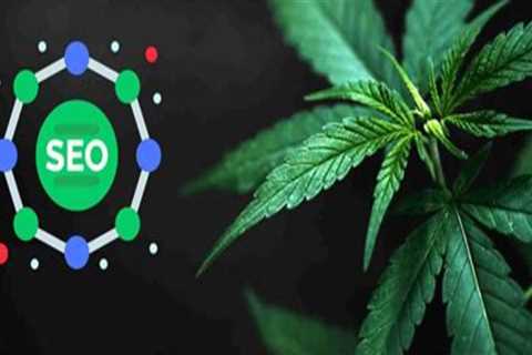 Why Cannabis Therapy Providers Rely on Cannabis SEO for Competitive Growth